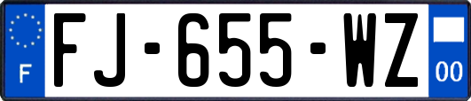 FJ-655-WZ