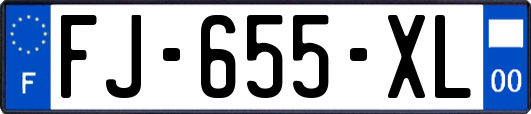 FJ-655-XL