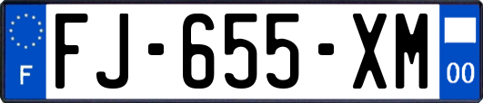 FJ-655-XM