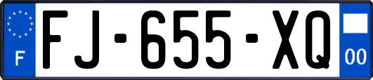 FJ-655-XQ