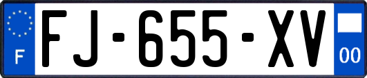 FJ-655-XV