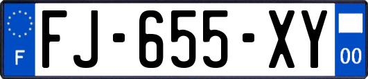 FJ-655-XY