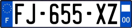 FJ-655-XZ