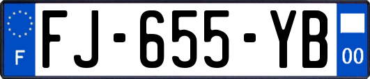 FJ-655-YB