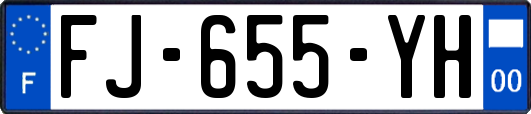 FJ-655-YH