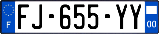 FJ-655-YY