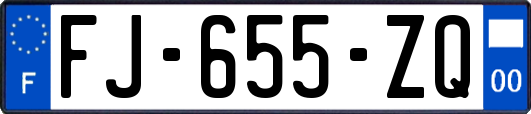 FJ-655-ZQ