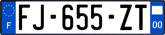 FJ-655-ZT