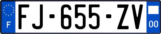 FJ-655-ZV