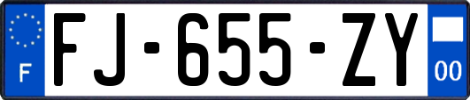 FJ-655-ZY