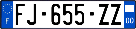 FJ-655-ZZ