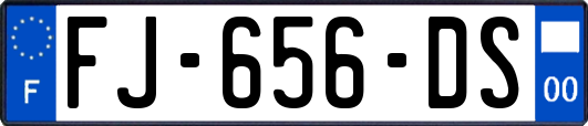 FJ-656-DS