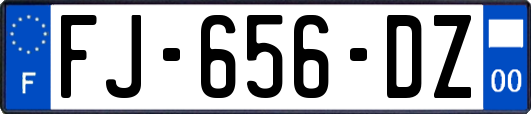 FJ-656-DZ
