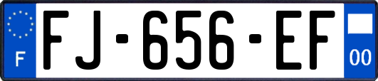 FJ-656-EF