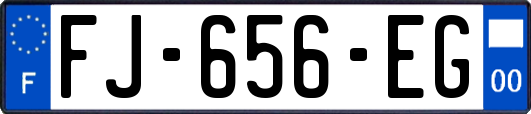 FJ-656-EG