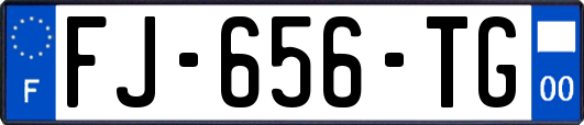 FJ-656-TG