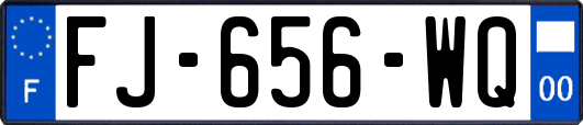 FJ-656-WQ