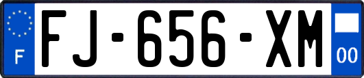 FJ-656-XM