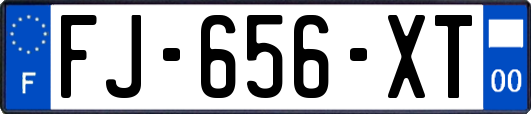 FJ-656-XT