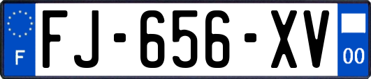 FJ-656-XV