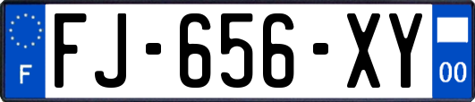FJ-656-XY