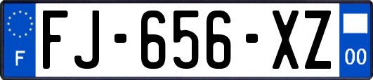 FJ-656-XZ
