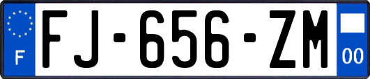 FJ-656-ZM