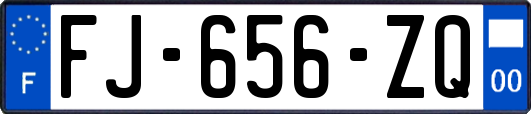 FJ-656-ZQ