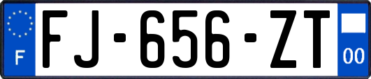 FJ-656-ZT