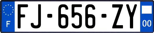 FJ-656-ZY