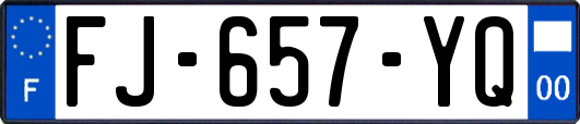 FJ-657-YQ