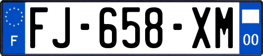FJ-658-XM