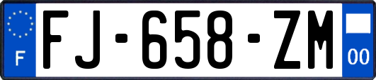 FJ-658-ZM