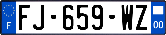 FJ-659-WZ