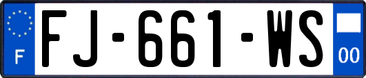 FJ-661-WS