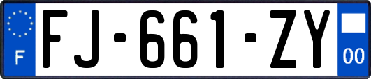 FJ-661-ZY