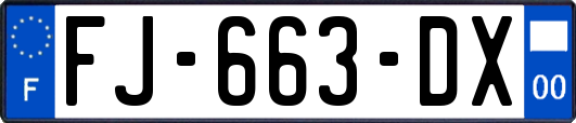 FJ-663-DX
