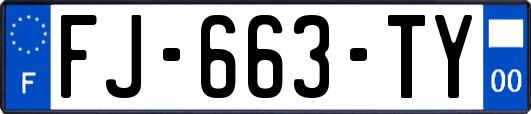 FJ-663-TY