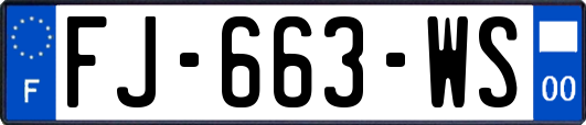 FJ-663-WS