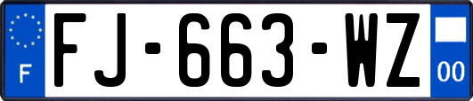 FJ-663-WZ