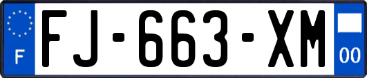FJ-663-XM