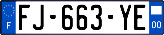 FJ-663-YE