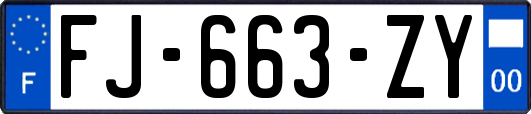 FJ-663-ZY