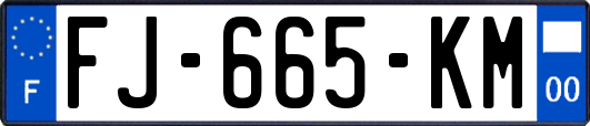 FJ-665-KM
