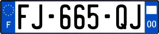 FJ-665-QJ