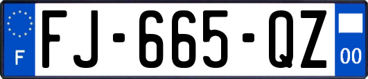 FJ-665-QZ