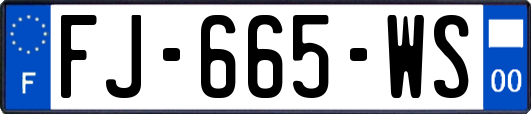 FJ-665-WS