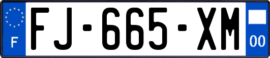 FJ-665-XM
