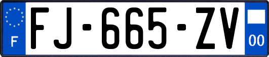 FJ-665-ZV