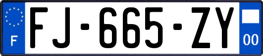 FJ-665-ZY